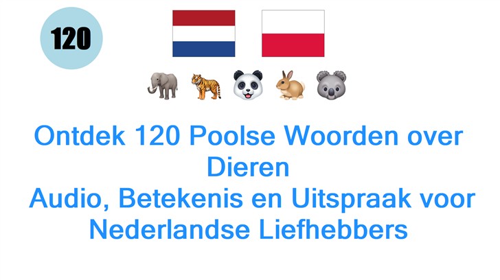 Ontdek 120 Poolse Woorden over Dieren: Audio, Betekenis en Uitspraak voor Nederlandse Liefhebbers